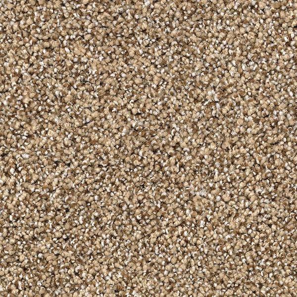 Close-up of Shaded Escape Family Friendly Carpet in Camelot, featuring a plush, speckled looped texture with light and dark fibers for lasting durability and an inviting look—perfect for family spaces.