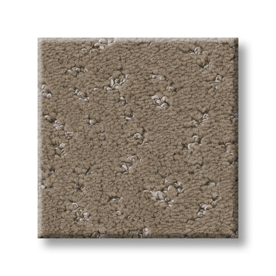 Elaborate Artifact Family Friendly Carpet