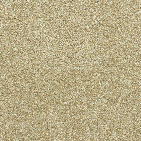 Close-up view of the Maroon Bells Family Friendly Carpet in Cameo, featuring a soft, textured surface and a uniform, dense fiber pattern ideal for families.