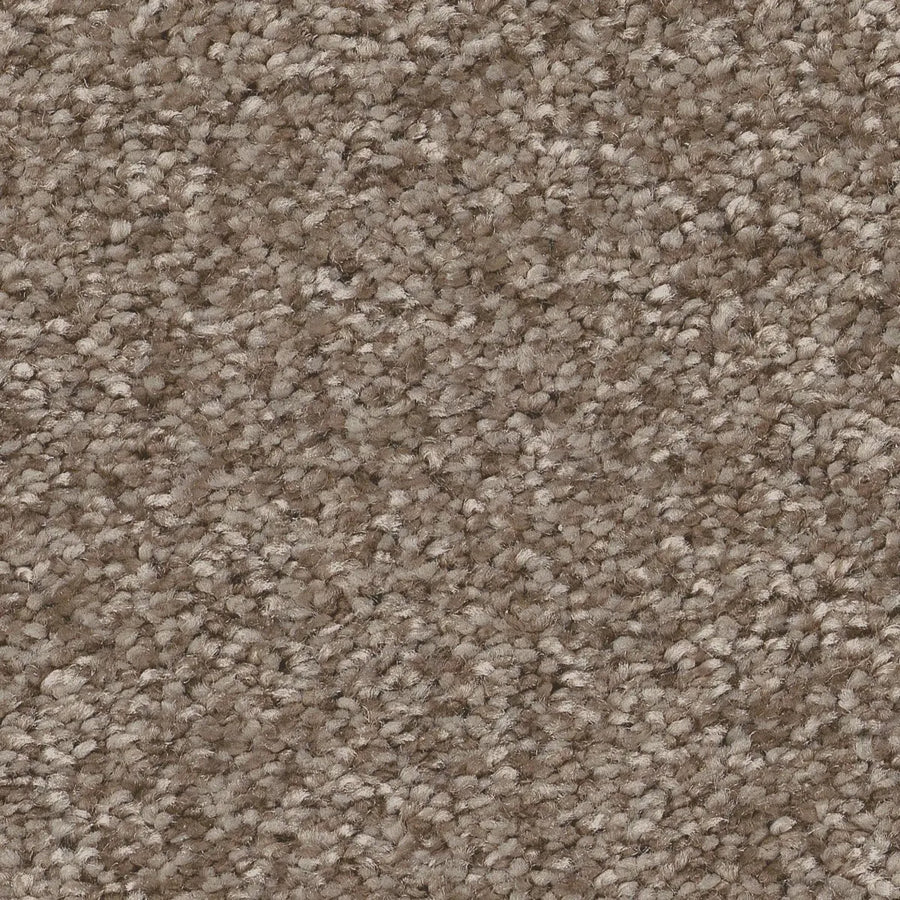 Close-up of You Got This III Pet Friendly Carpet in Cameo color, featuring tightly woven fibers for a soft, uniform surface. This plush, dense carpet offers comfortable flooring—ideal for modern indoor spaces.