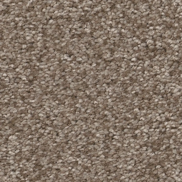 Close-up of You Got This III Pet Friendly Carpet in Cameo color, featuring tightly woven fibers for a soft, uniform surface. This plush, dense carpet offers comfortable flooring—ideal for modern indoor spaces.