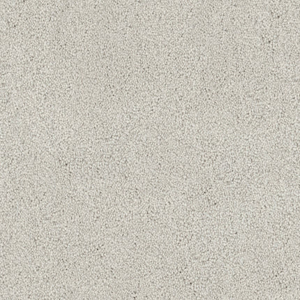 Close-up of the Tribute Family Friendly Carpet in Canberra color—this plush, soft, and textured surface features densely packed fibers for a smooth, uniform look, providing comfort and durability ideal for busy households.