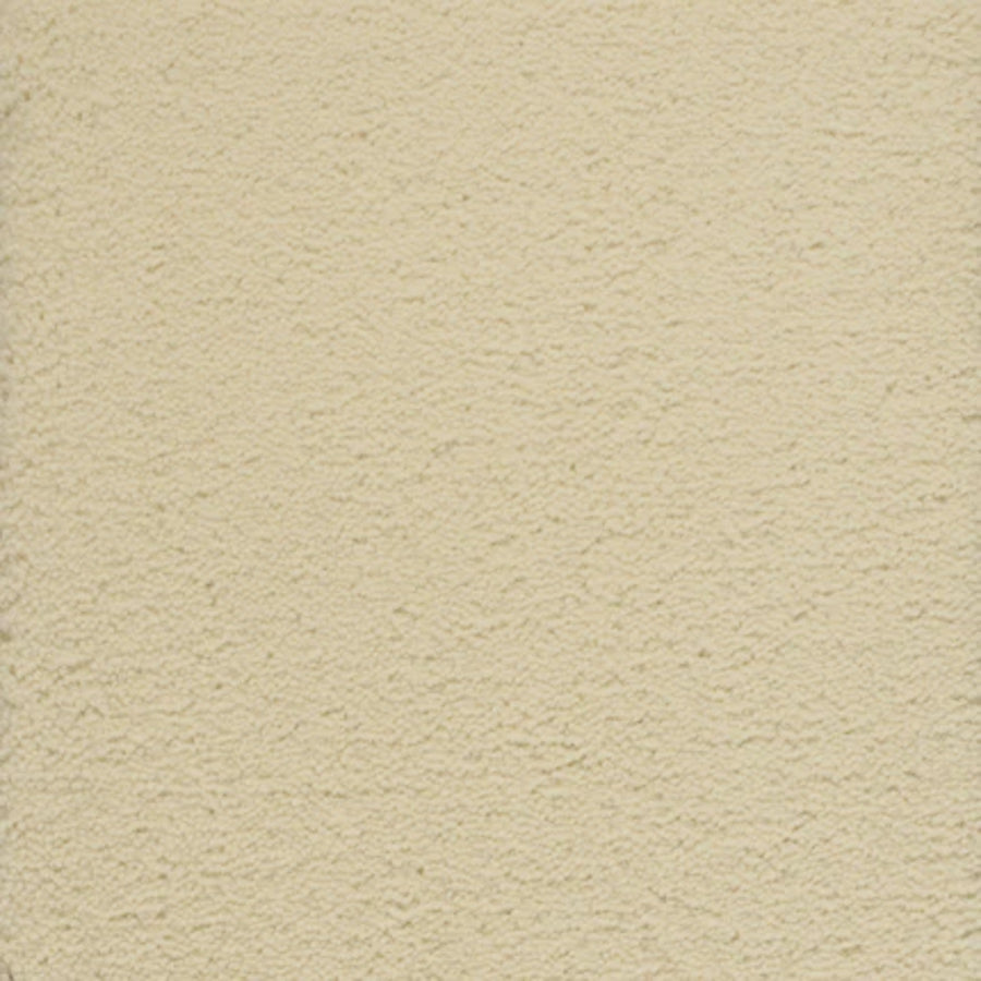 A close-up view of Dolce Family Friendly Carpet in Candlelight, showcasing its textured, durable finish—perfect for high-traffic areas where both style and resilience matter.