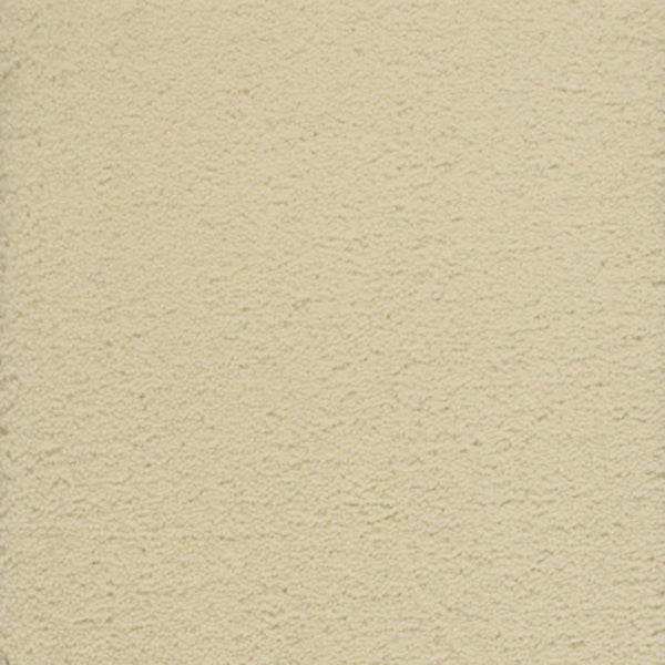 A close-up view of Dolce Family Friendly Carpet in Candlelight, showcasing its textured, durable finish—perfect for high-traffic areas where both style and resilience matter.