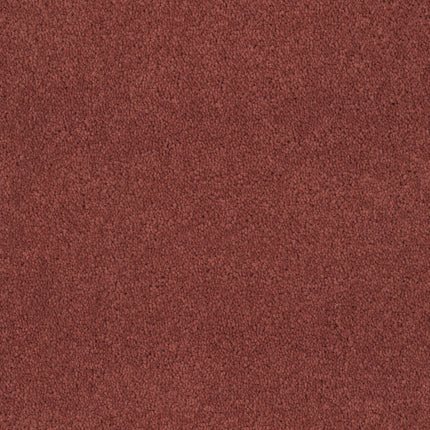 A close-up of Tribute Family Friendly Carpet in Cantamar, featuring a soft, textured surface that's both durable and inviting.