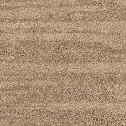 Close-up of Cirrus Berber Carpet in Canyon color, featuring a light brown hue, textured plush surface, and subtle horizontal wavy pattern—ideal for premium flooring.