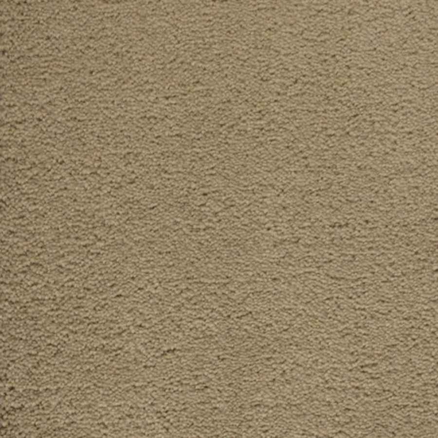 Close-up of Dolce Family Friendly Carpet in Canyon, featuring a beige textured surface with detailed fibers—ideal for adding sophistication to high-traffic areas.