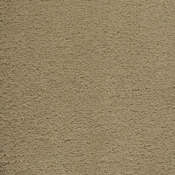 Close-up of Dolce Family Friendly Carpet in Canyon, featuring a beige textured surface with detailed fibers—ideal for adding sophistication to high-traffic areas.