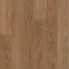 Canyon Oak