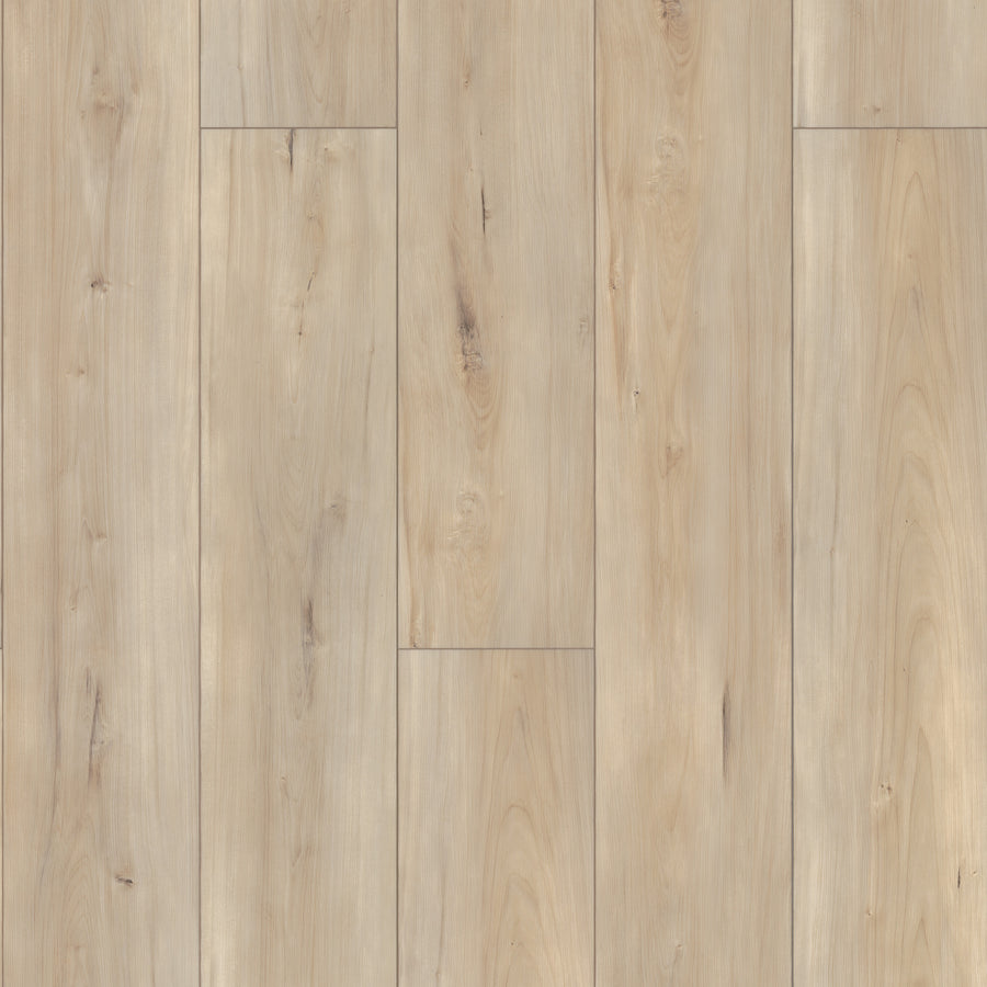 Coretec Pro Plus XL Enhanced Vinyl features elongated rectangular planks in a warm beige tone with natural wood grain and subtle knots. This stylish, waterproof luxury vinyl flooring offers slight shade and texture variations for a realistic look.
