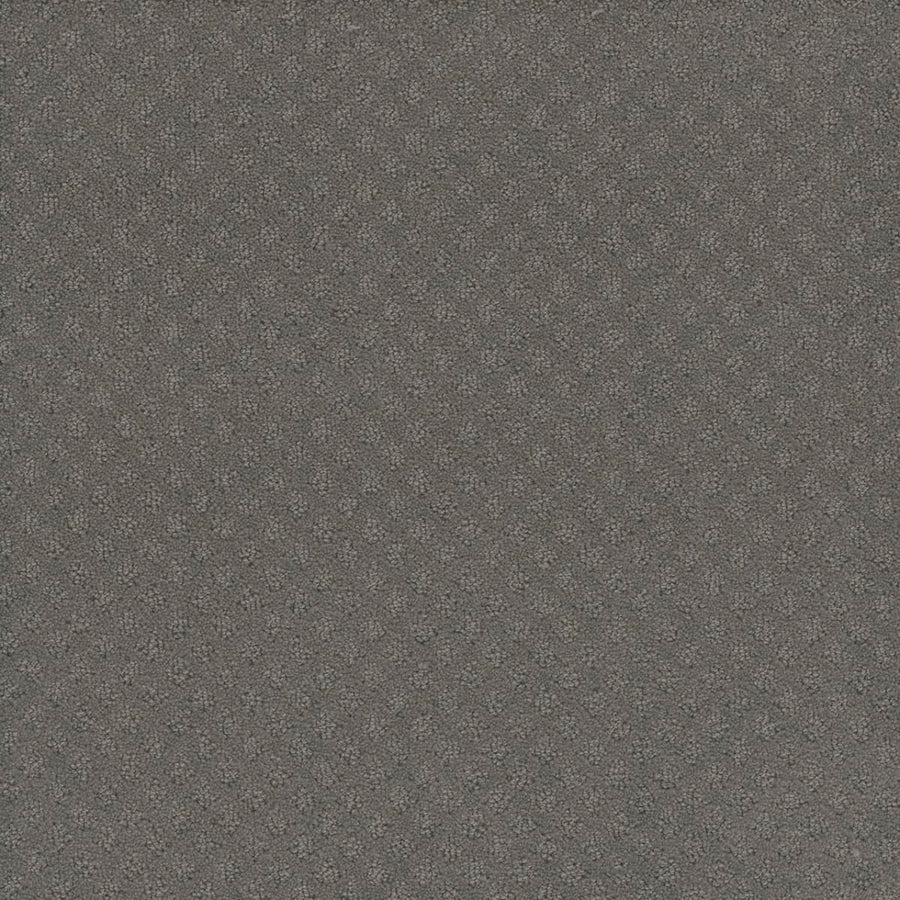 A close-up of Capri Pet Friendly Carpet in Bayside color highlights its textured, dark gray surface with a subtle diamond pattern—showcasing its durability and suitability for high-traffic or pet-friendly spaces.