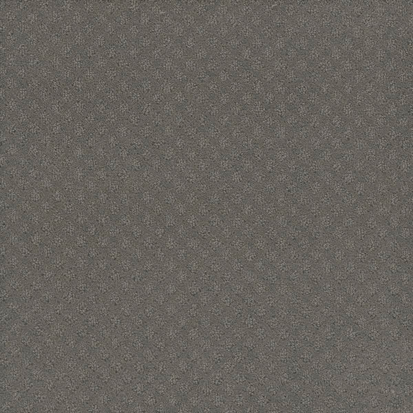 A close-up of Capri Pet Friendly Carpet in Bayside color highlights its textured, dark gray surface with a subtle diamond pattern—showcasing its durability and suitability for high-traffic or pet-friendly spaces.
