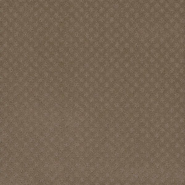 Capri Pet Friendly Carpet in Deer Path features a subtle small diamond-textured brown fabric. Stain resistant, soft, and muted in tone, it’s an ideal choice for high-traffic areas.