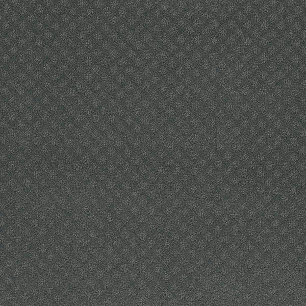 A close-up of Capri Pet Friendly Carpet in Onyx Waves, featuring a dark gray textured surface with a subtle diamond pattern. This durable, matte carpet offers fine detailing and style while remaining pet friendly.