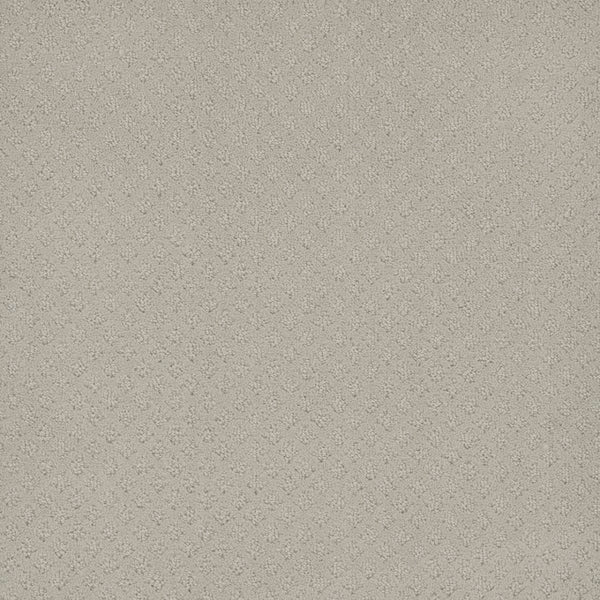 Capri Pet Friendly Carpet in Snow Cap features a light gray hue with a refined, small-scale diagonal texture. Its soft, elegant look is complemented by durable, stain-resistant performance.