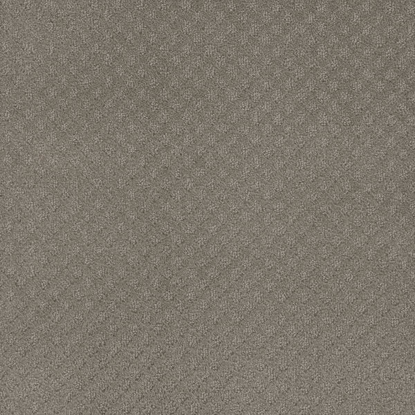 Close-up of Capri Pet Friendly Carpet in Stratosphere, featuring a textured gray surface with a subtle diamond pattern for a soft, durable look ideal for homes with pets.