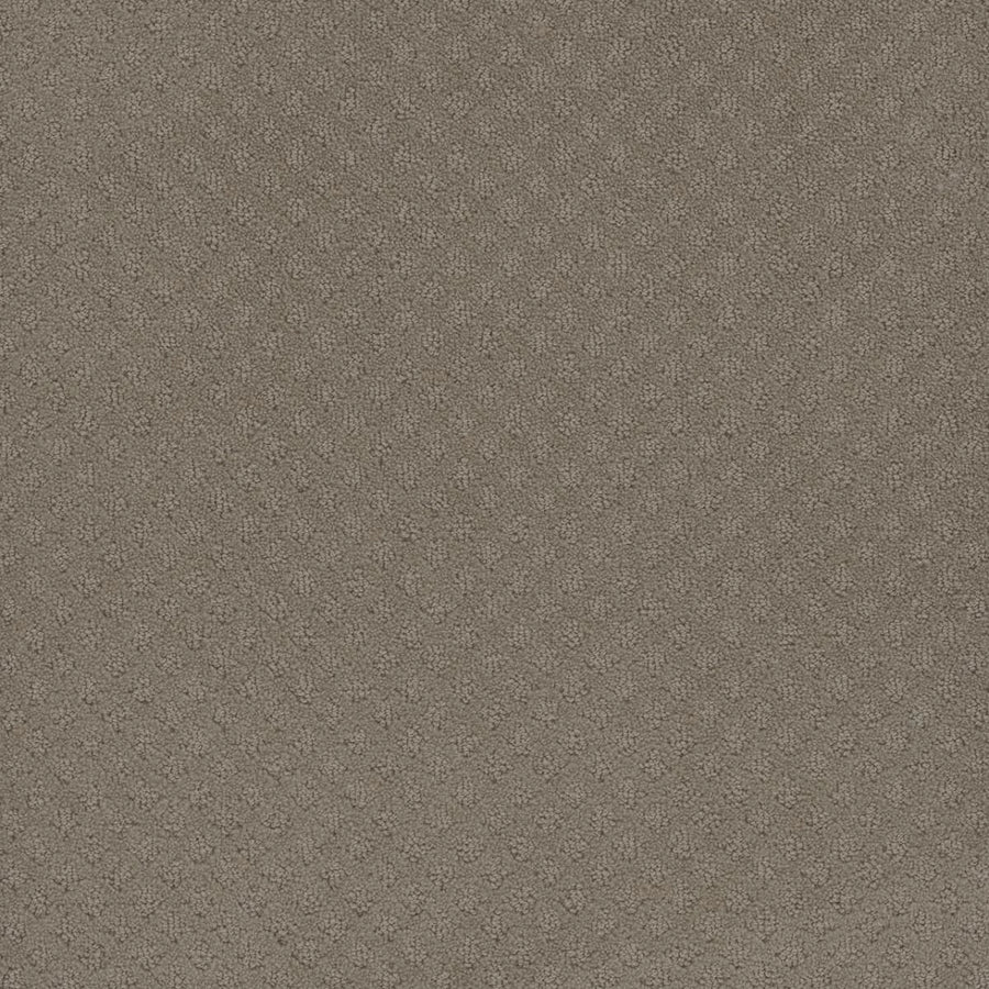 Close-up of Capri Pet Friendly Carpet in Timber Ridge, featuring a soft, textured surface with a subtle diamond pattern. This stain-resistant carpet is both durable and attractive—perfect for busy spaces needing lasting beauty.