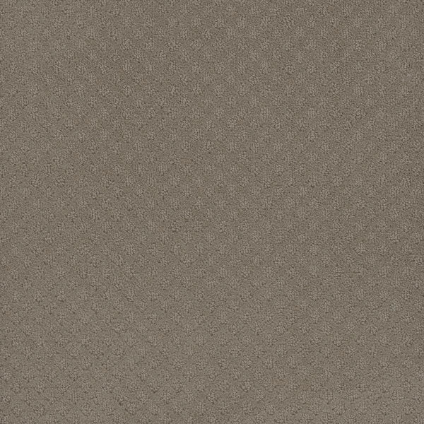 Close-up of Capri Pet Friendly Carpet in Timber Ridge, featuring a soft, textured surface with a subtle diamond pattern. This stain-resistant carpet is both durable and attractive—perfect for busy spaces needing lasting beauty.