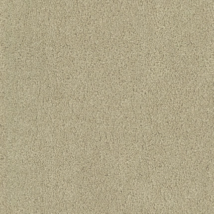 Close-up of Tribute Family Friendly Carpet in Carmel color, featuring a durable, looped pile surface for a cozy, light look—ideal for family spaces in homes or offices.
