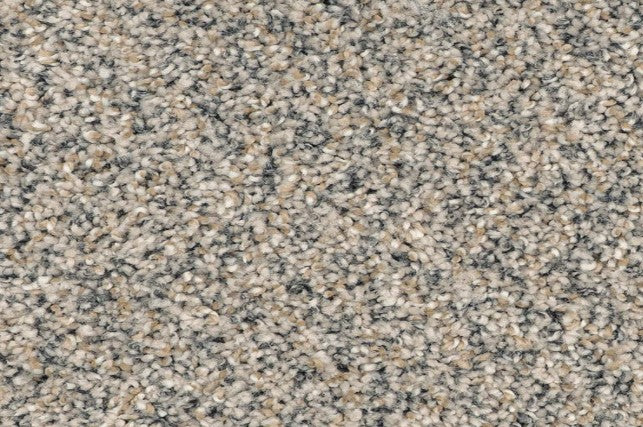 Close-up of Innovative Comfort II Pet Friendly Carpet in Carnival, featuring a textured, multi-toned speckled pattern in beige, gray, and cream. This stylish carpet is both pet friendly and stain resistant.