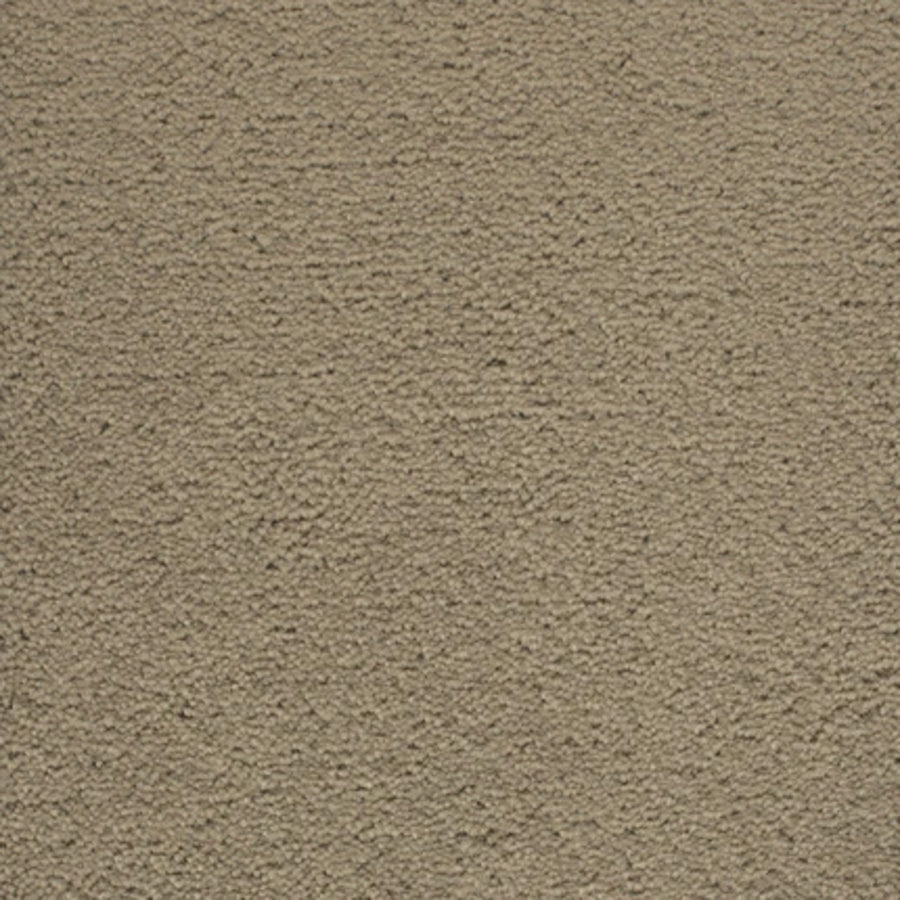 A close-up of a textured beige stucco wall with a rough, grainy surface—an ideal backdrop for Dolce Family Friendly Carpet in Cavern, perfect for high-traffic family spaces.