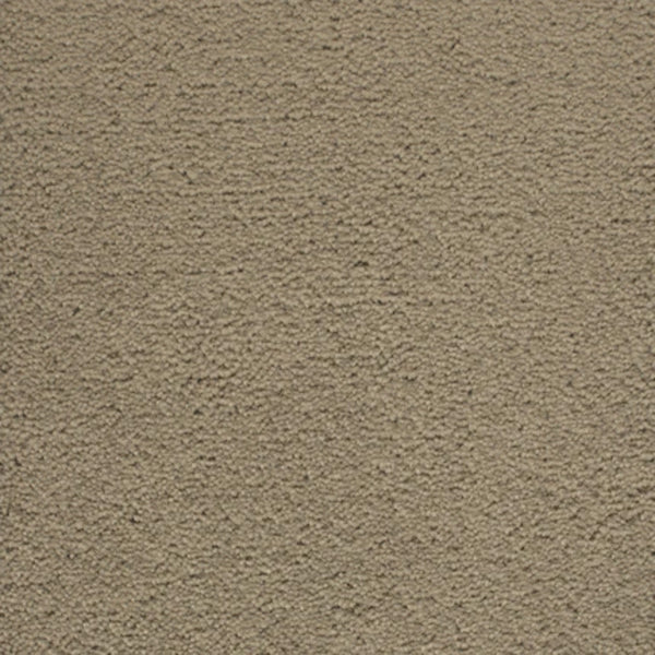 A close-up of a textured beige stucco wall with a rough, grainy surface—an ideal backdrop for Dolce Family Friendly Carpet in Cavern, perfect for high-traffic family spaces.
