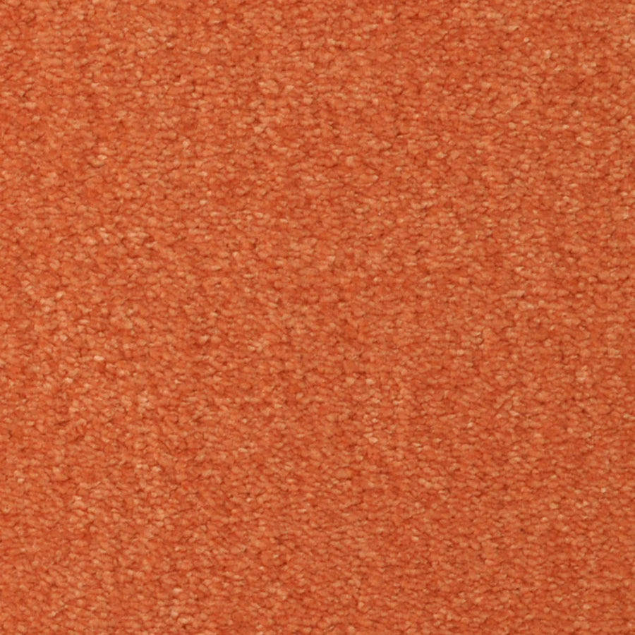 Seduction On Trend Carpet in Cayenne features a soft, plush orange textured surface with small, tightly packed fibers—ideal for adding luxury and durable flooring to any room.