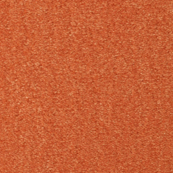 Seduction On Trend Carpet in Cayenne features a soft, plush orange textured surface with small, tightly packed fibers—ideal for adding luxury and durable flooring to any room.