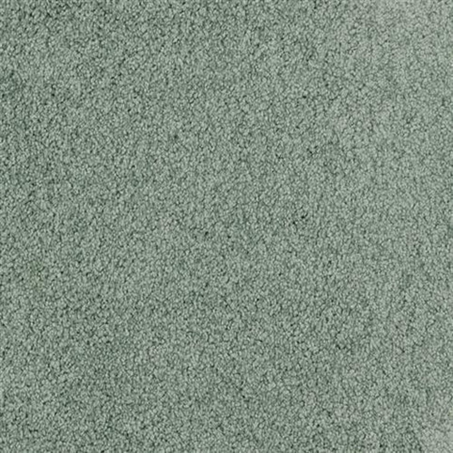 Close-up of Oceanside Family Friendly Carpet in Cedar Grove, featuring a soft, even texture and light gray hue—ideal plush flooring for any home.