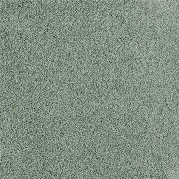 Close-up of Oceanside Family Friendly Carpet in Cedar Grove, featuring a soft, even texture and light gray hue—ideal plush flooring for any home.