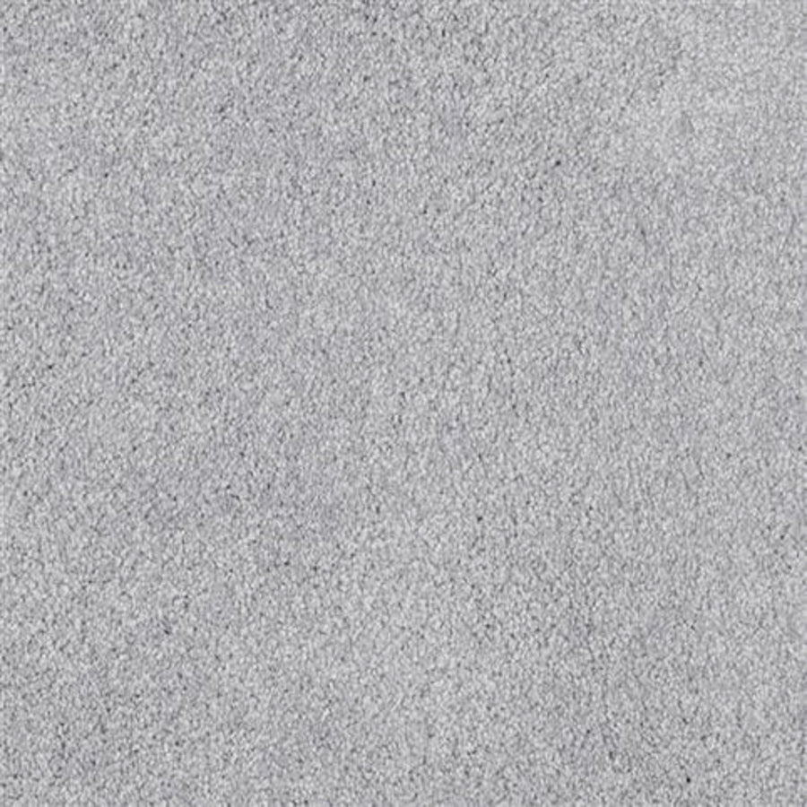 Close-up of Oceanside Family Friendly Carpet in Celestia, featuring a light gray textured surface with soft, plush fibers for a uniform look and lasting comfort—perfect for family spaces.