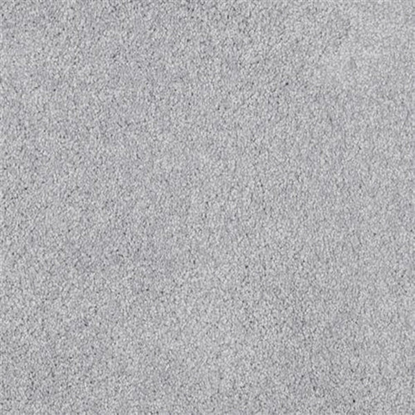 Close-up of Oceanside Family Friendly Carpet in Celestia, featuring a light gray textured surface with soft, plush fibers for a uniform look and lasting comfort—perfect for family spaces.