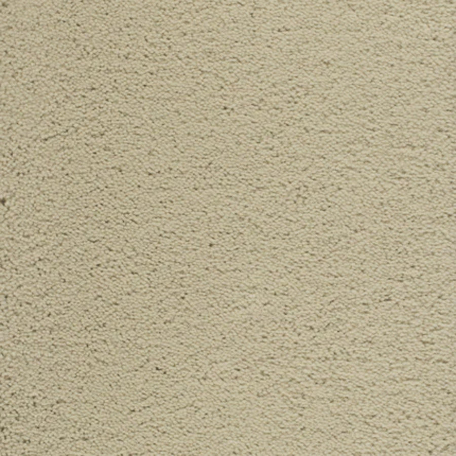 Close-up of Dolce Family Friendly Carpet in Cement color featuring a textured, durable finish—perfect for high-traffic areas needing both style and resilience.