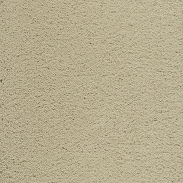 Close-up of Dolce Family Friendly Carpet in Cement color featuring a textured, durable finish—perfect for high-traffic areas needing both style and resilience.