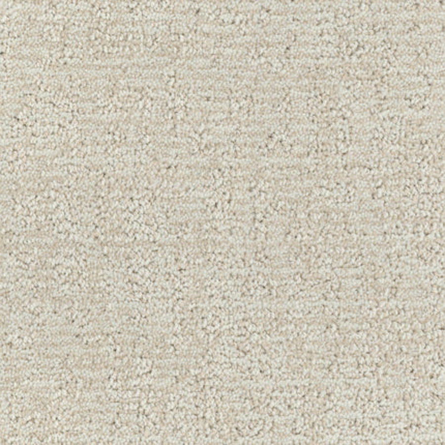 Close-up of Balance Family Friendly Carpet in Centered. This soft, looped pile carpet is durable, plush, and clean with a light beige tone—ideal for creating a cozy, neutral look in family-friendly home interiors.