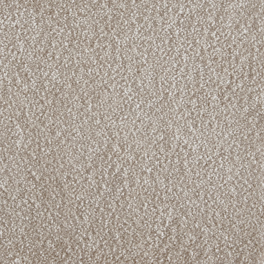 Close-up of Jazzy Family Friendly Carpet in Champagne, showing its dense, soft fibers and subtly mottled texture—an elegant, light beige flooring ideal for high-traffic areas.