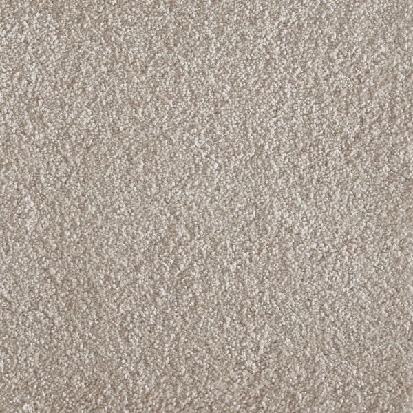 Close-up of Jazzy Family Friendly Carpet in Champagne, showing its dense, soft fibers and subtly mottled texture—an elegant, light beige flooring ideal for high-traffic areas.