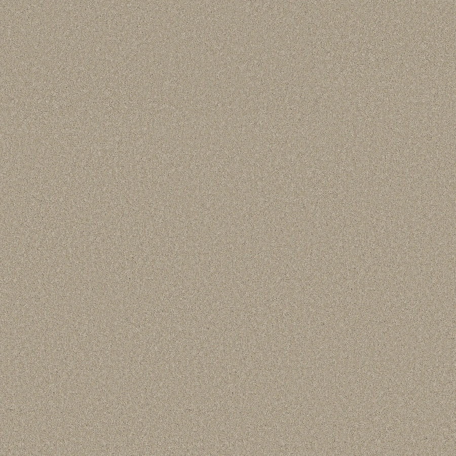 Close-up of the Smooth Tone Blue Pet Friendly Carpet in Chateau color, featuring a smooth, even surface with fine beige tones that create a neutral, textured background reminiscent of luxurious flooring.