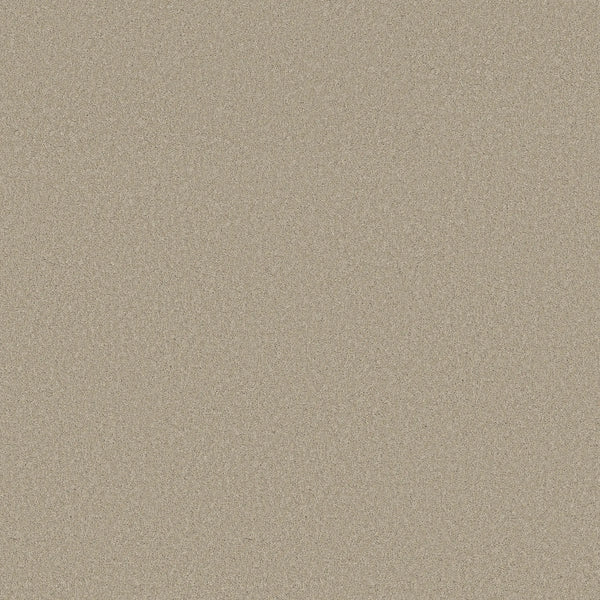 A close-up of Smooth Tone Pet Friendly Carpet in Chateau shows fine, light beige sand-like grains with a uniform texture, resembling the durability and stain resistance of high-quality carpet.