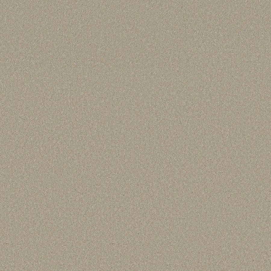 Close-up view of the Classic Tone Blue Pet Friendly Carpet in Chateau, showing its fine, light beige grains and uniform, textured surface for a durable look.