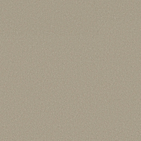 Close-up of Classic Tone Pet Friendly Carpet in Chateau—featuring a sandy beige color and fine, speckled texture for a stylish, durable, and pet-friendly flooring solution.