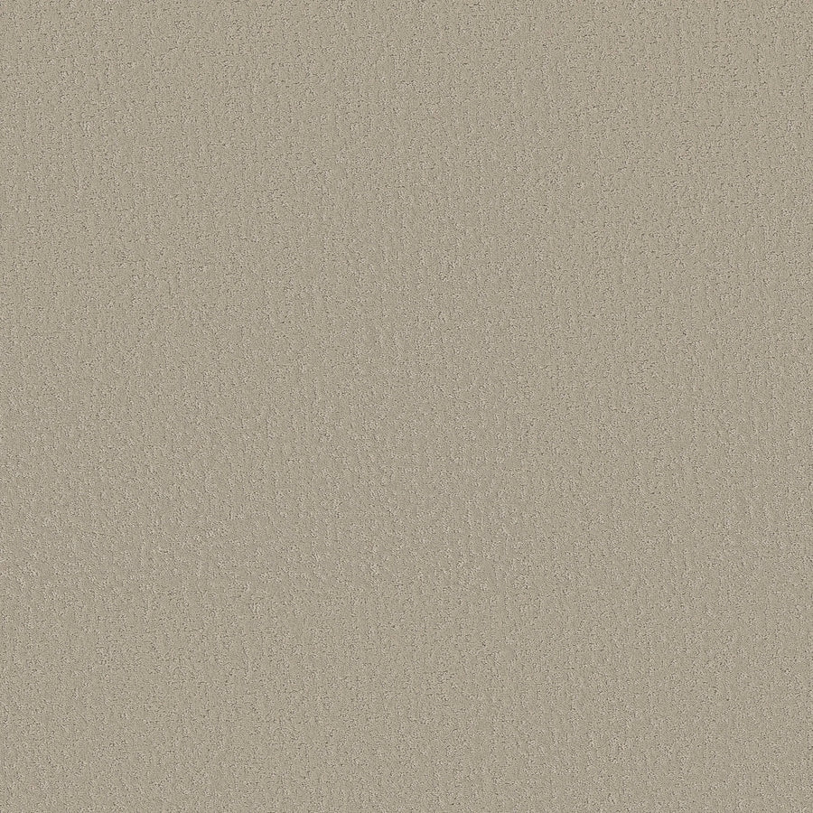 Chateau, a beige shade of Crafted Tone Blue Pet Friendly Carpet, features a textured surface with a subtle, sandy appearance and no distinct patterns or visible objects.