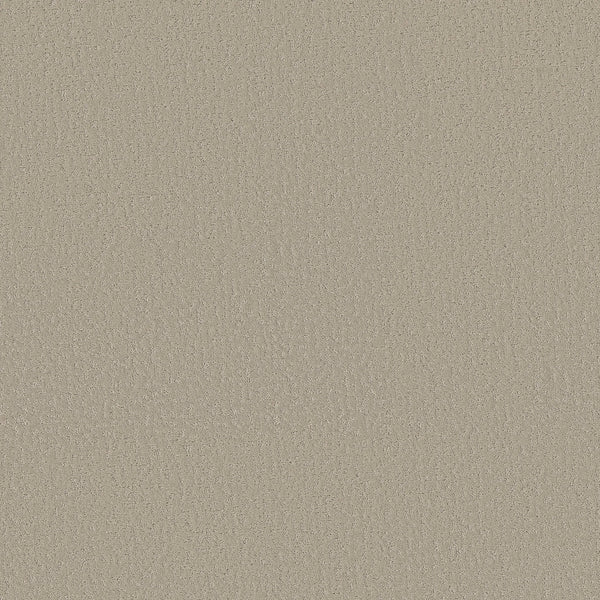 A close-up of Crafted Tone Pet Friendly Carpet in Chateau color shows a smooth, beige textured surface with subtle specks, creating an even, stain-resistant pattern ideal for homes with pets.