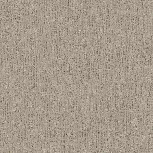 Curated Tone Pet Friendly Carpet in Chateau features a beige, textured surface with a woven-like pattern of raised lines and dots. Durable, stain-resistant, and ideal for homes with pets.