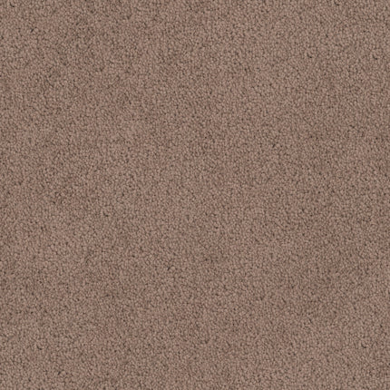 A close-up of Tribute Family Friendly Carpet in Chenille shows its soft, brown, speckled surface with tightly packed fibers—perfect for busy homes.