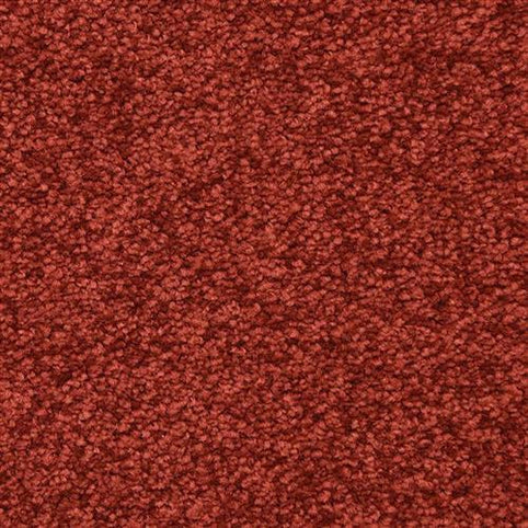 Close-up of Morgan Bay Family Friendly Carpet in Cherry. This stain-resistant, looped-pile carpet features a dense, uniform pattern—perfect for high-traffic areas and family-friendly spaces.