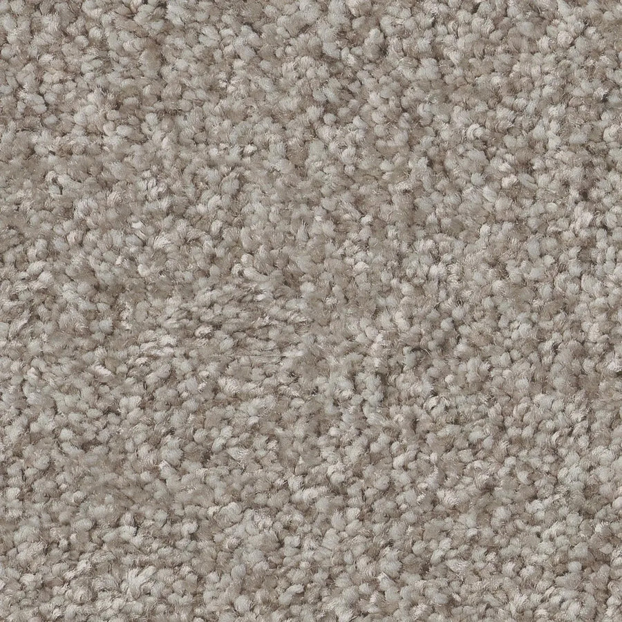 Close-up of You Got This III Pet Friendly Carpet in Chic—light beige, textured with tightly woven, soft looped fibers for a plush, uniform surface; perfect for comfortable, modern spaces.