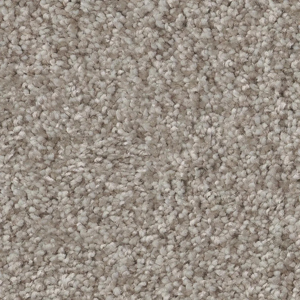 Close-up of You Got This III Pet Friendly Carpet in Chic—light beige, textured with tightly woven, soft looped fibers for a plush, uniform surface; perfect for comfortable, modern spaces.