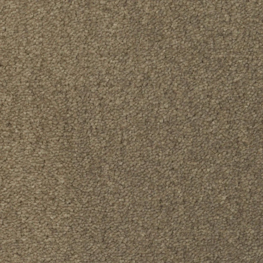 Close-up view of Seduction On Trend Carpet in Chinchilla color, featuring tightly woven fibers for a soft, uniform surface that delivers comfort and lasting durability.