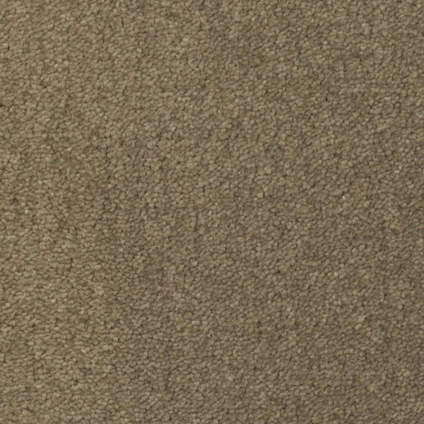 Close-up view of Seduction On Trend Carpet in Chinchilla color, featuring tightly woven fibers for a soft, uniform surface that delivers comfort and lasting durability.
